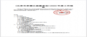 北京市京潮公益基金会2023年度工作报告